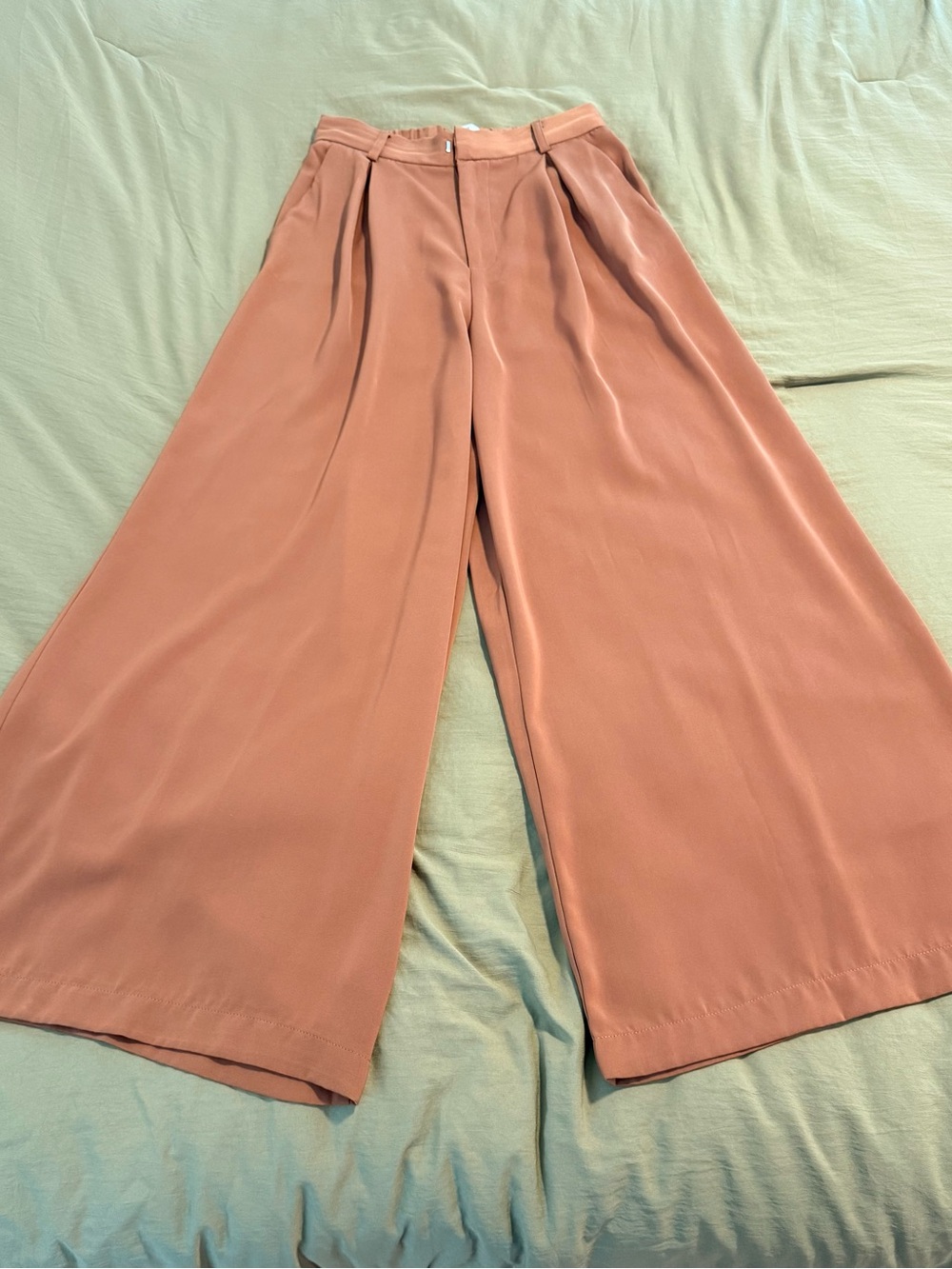 Wide Leg Pleated Pants in Brown